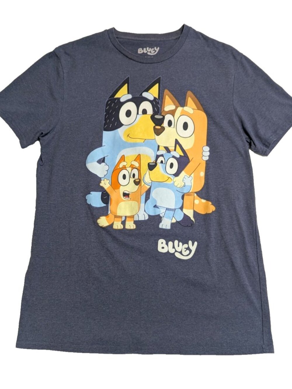 Bluey Shirt Adult Large Cartoon Family Graphic‎ Crew Neck Tee T-Shirt Heather - Picture 2 of 7